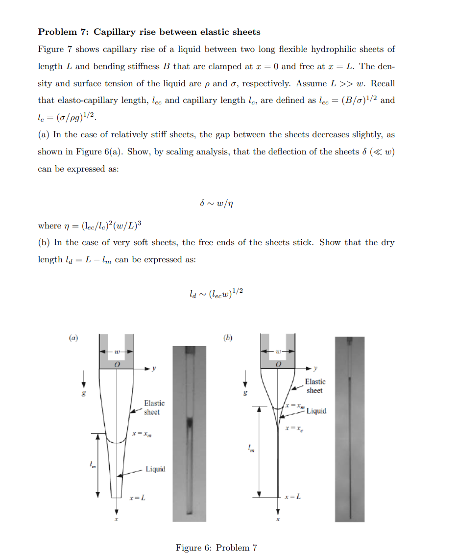 Solved Problem 7: Capillary rise between elastic sheets | Chegg.com