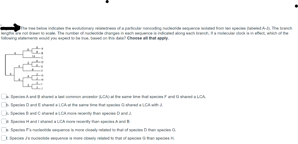 Solved The tree below indicates the evolutionary relatedness | Chegg.com