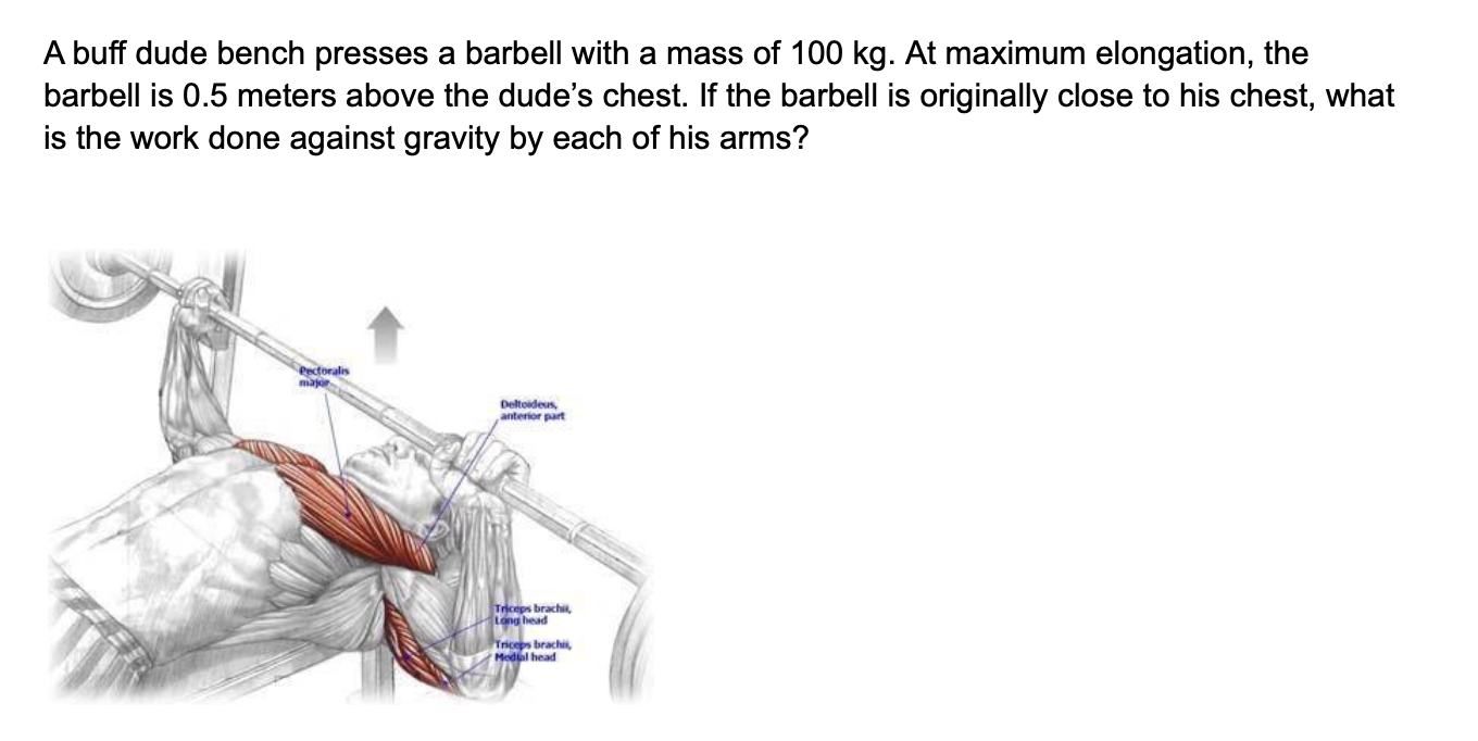 Buff dudes 2025 bench press