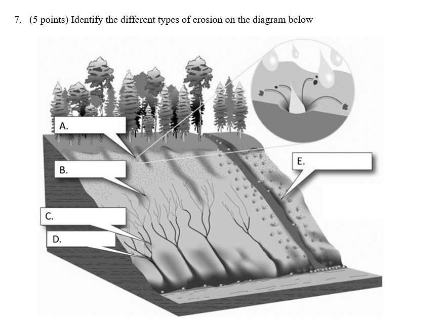 Solved 7. ( 5 points) Identify the different types of