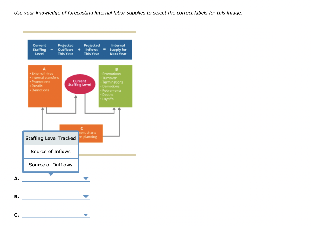 Solved Use your knowledge of forecasting internal labor