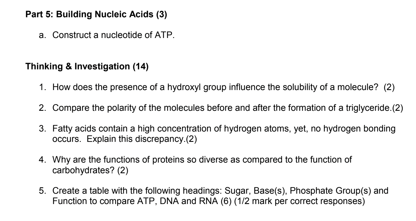 Solved Part 5: Building Nucleic Acids (3) a. Construct a | Chegg.com
