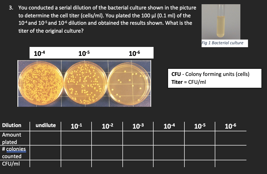 Solved You conducted a serial dilution of the bacterial