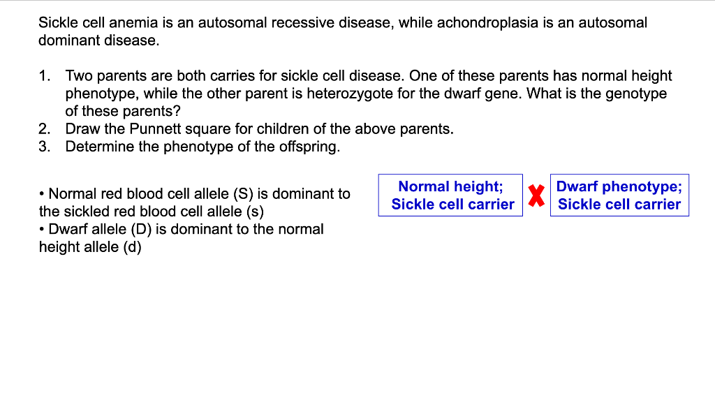 autosomal dominant punnett square achondroplasia