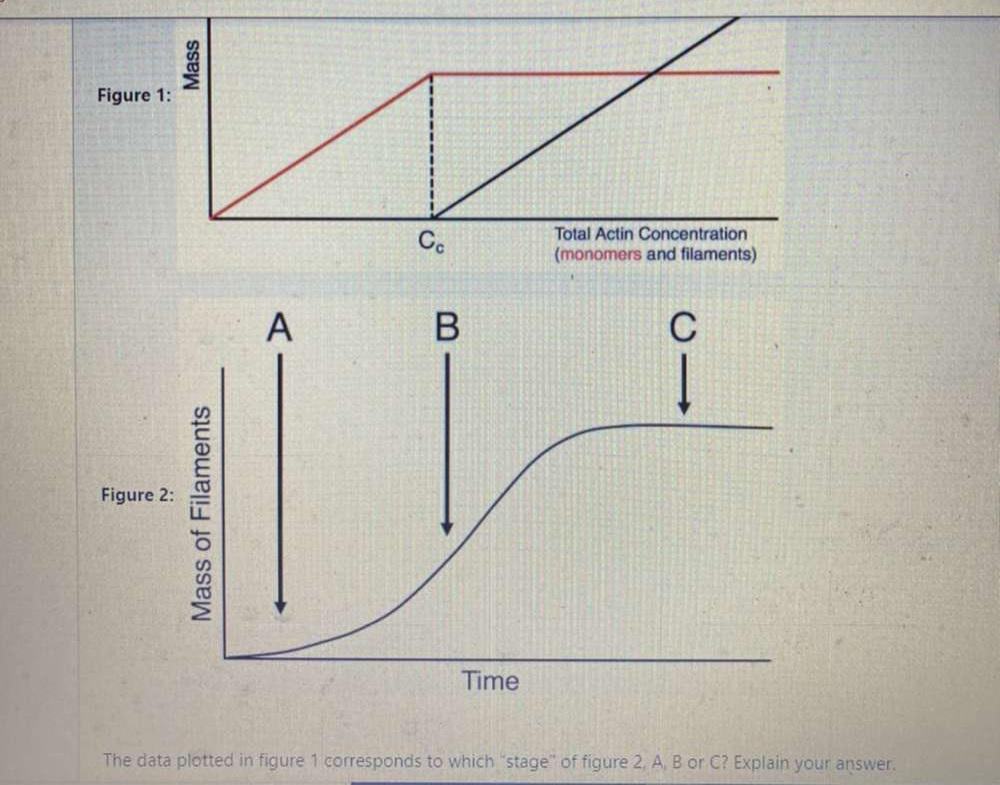 Solved A version of the figure below was shown in lecture. | Chegg.com