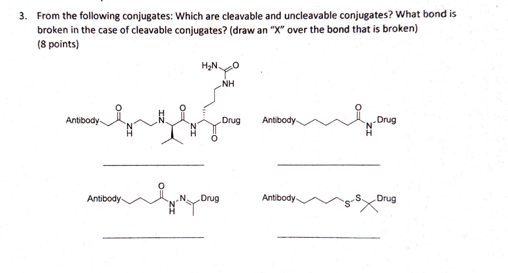Solved From the following conjugates: Which are cleavable | Chegg.com