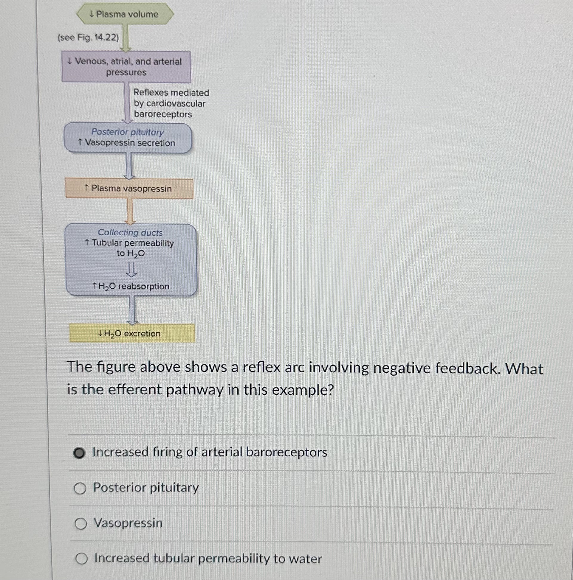 Solved (see Fig. 14.22)darr Venous, atrial, and | Chegg.com