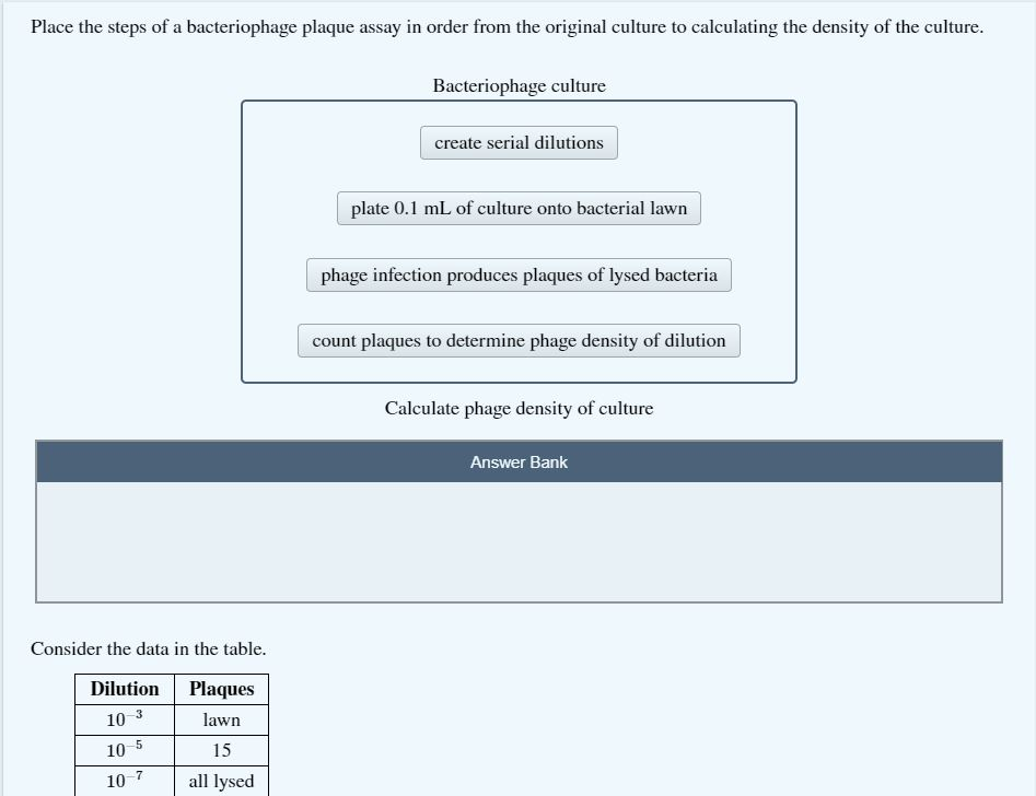 Solved Place the steps of a bacteriophage plaque assay in
