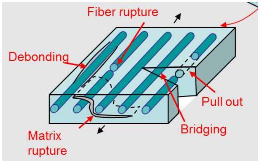 Solved According to picture above (the failure mode in