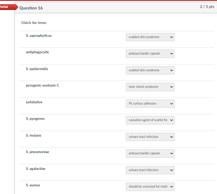 Solved Partial Question 16 2/5 pts Match the terms. S. | Chegg.com