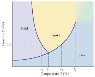 Solved Phase Diagram for Water The phase diagram for water | Chegg.com
