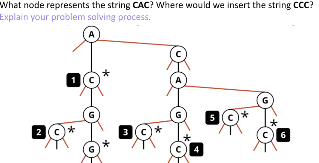 Solved What node represents the string CAC? Where would we | Chegg.com