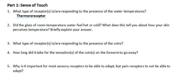 Part 1 Sense Of Touch Activity 1a Skin And Tempe Chegg Com
