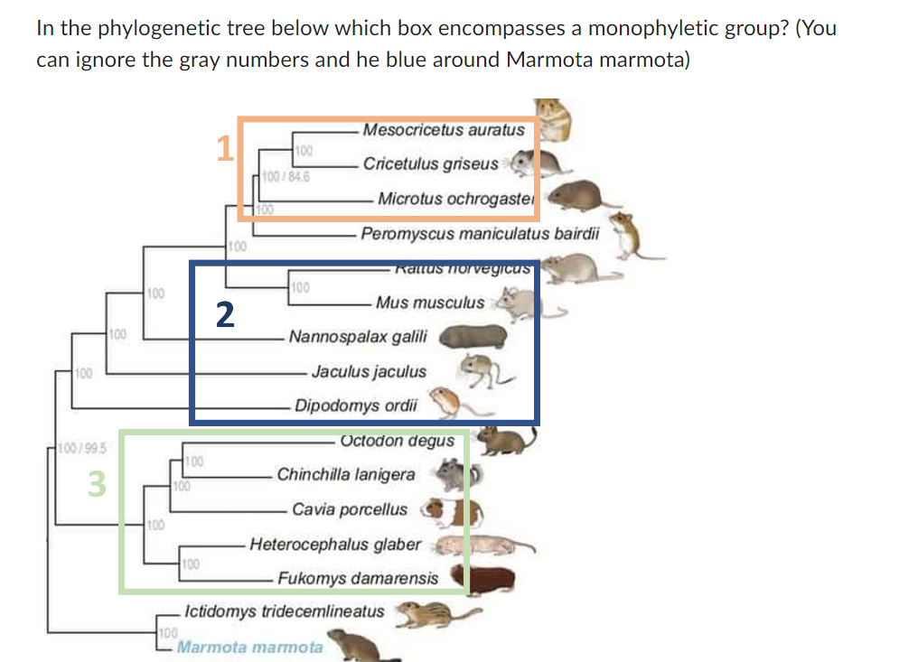 Solved Which of the following traits do archaeans and