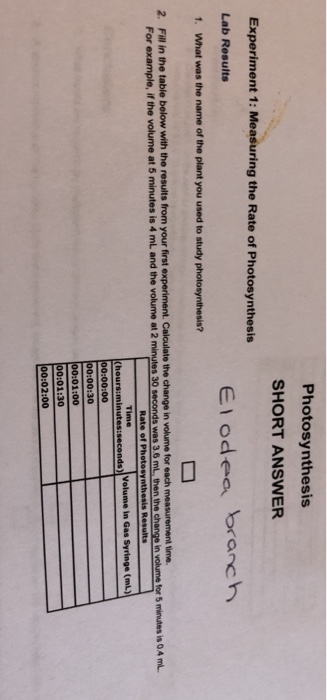 solved-photosynthesis-short-answer-experiment-1-measurin-chegg