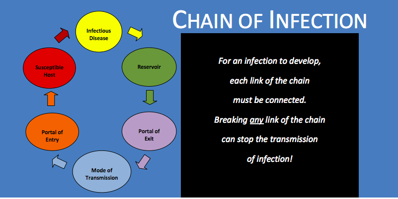 chain of transmission of infectious disease