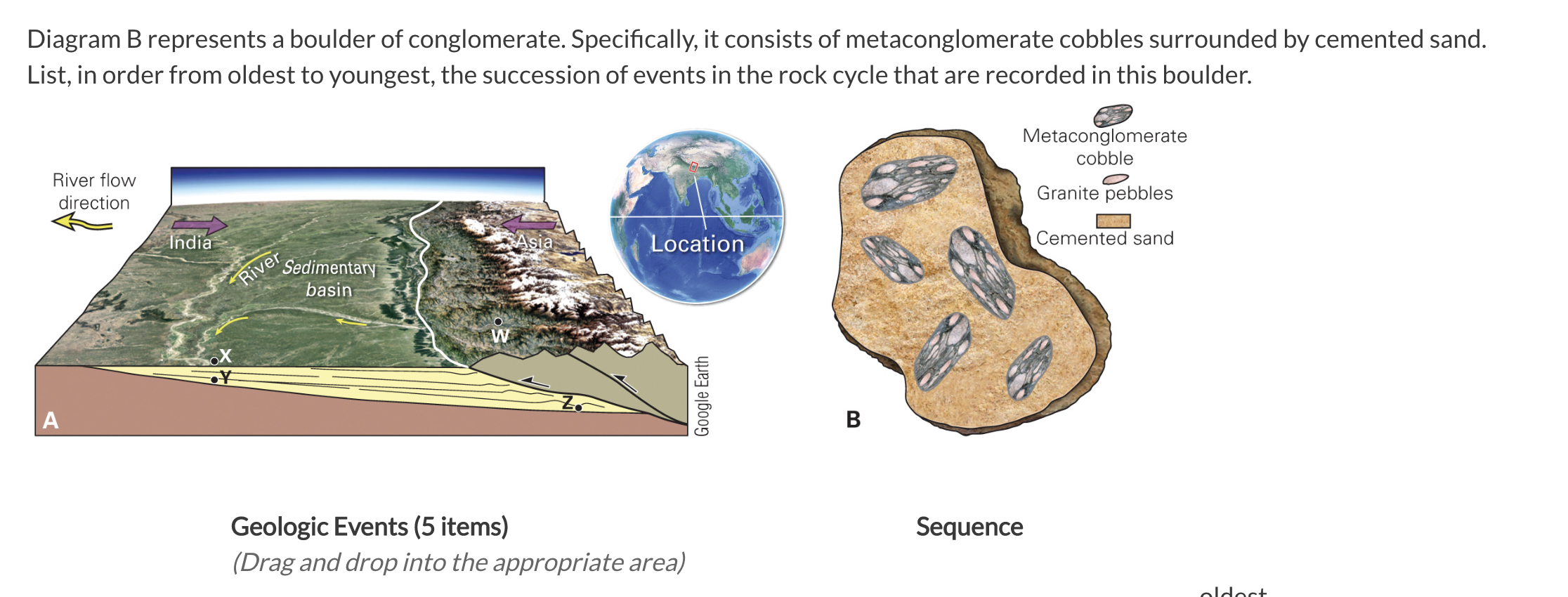 Solved Diagram B represents a boulder of conglomerate.