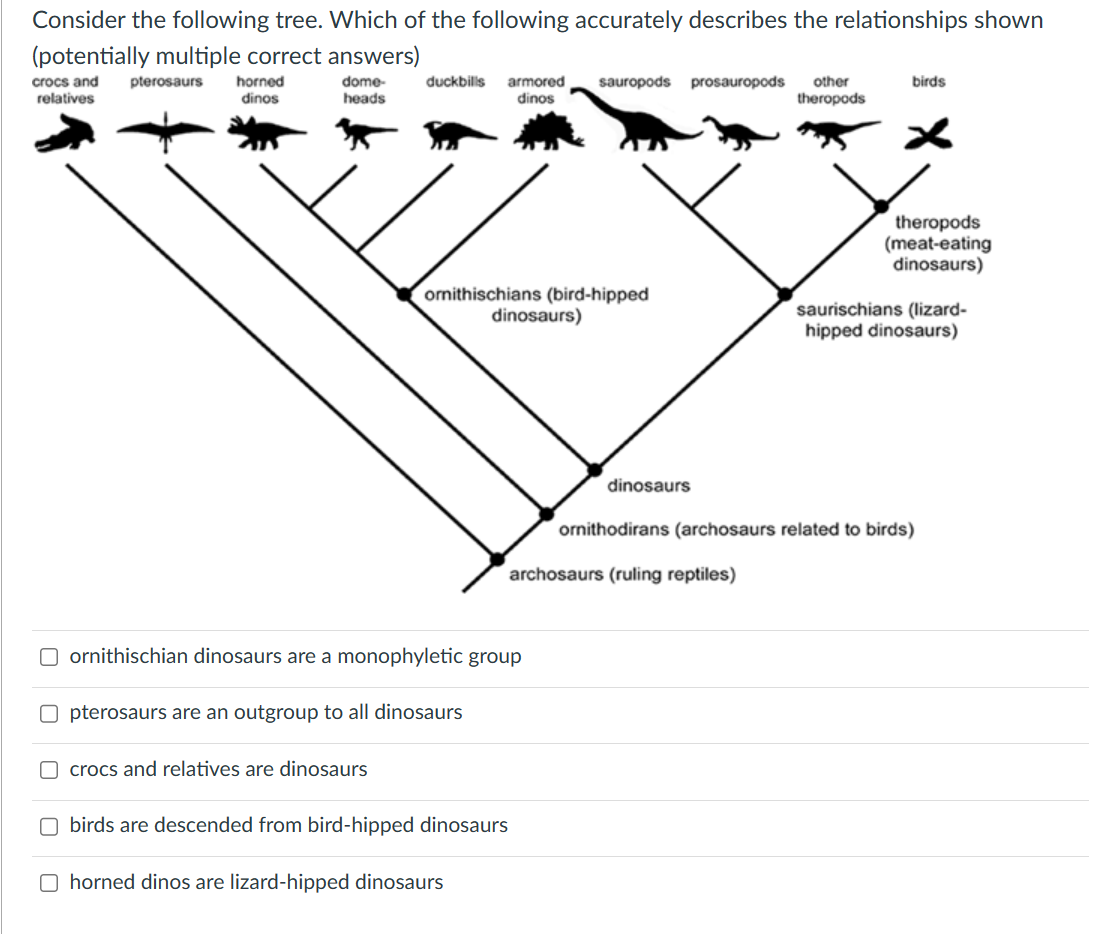 Solved Consider the following tree. Which of the following | Chegg.com