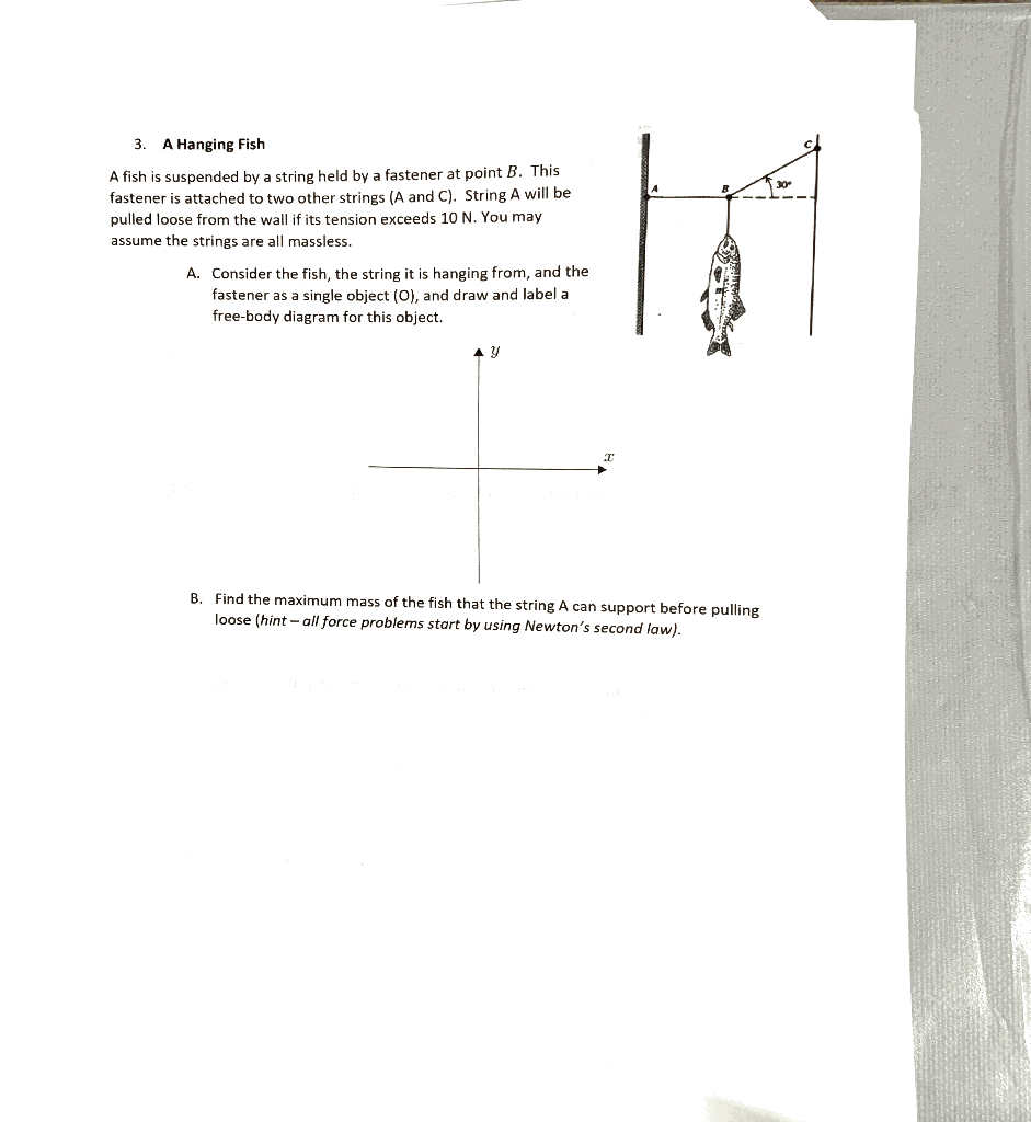 Solved 1 3. A Hanging Fish A fish is suspended by a string