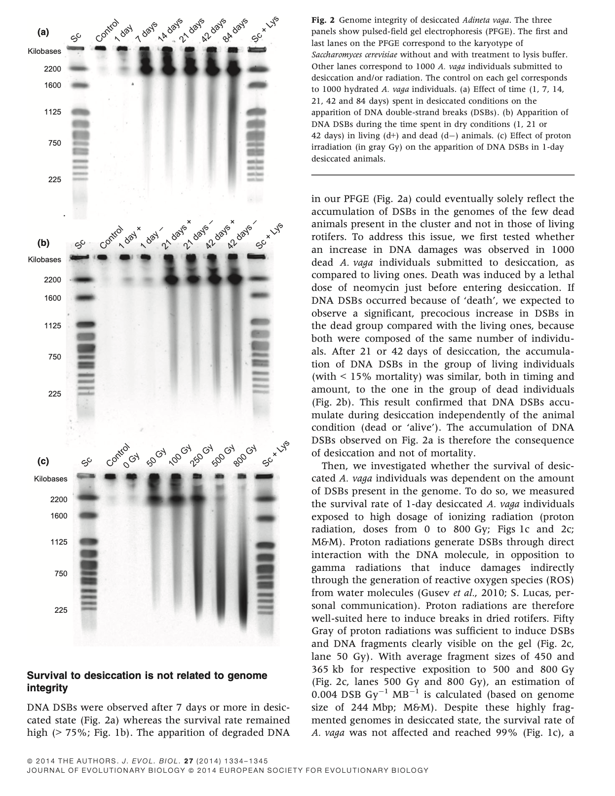 Solved What is the Dependent variable for Fig 2a, 2b, and 2c | Chegg.com