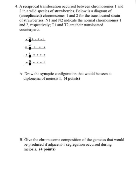 Solved 4. A reciprocal translocation occurred between | Chegg.com