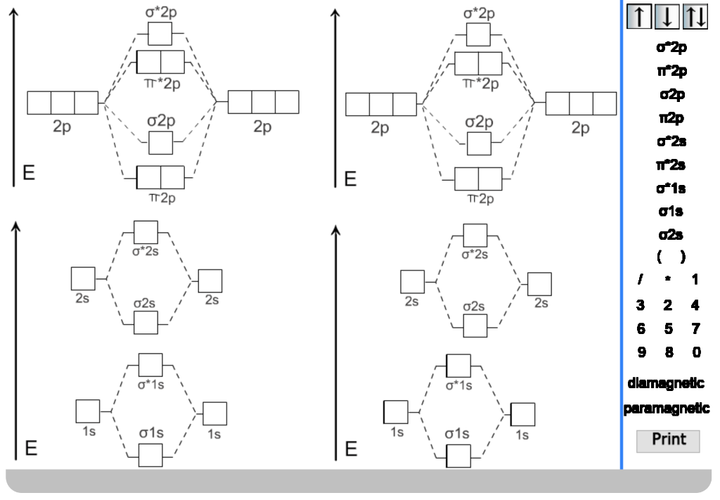 Solved In the molecular orbital activity, fill in the | Chegg.com