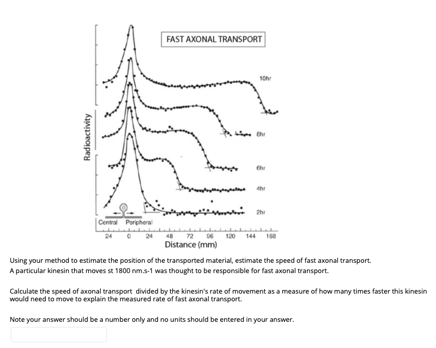 Fast Axonal Transport 10hr Radioactivity Shr Thr 4 Chegg Com