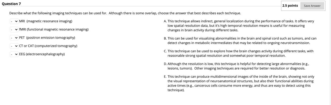 Solved Question 7 2.5 points Save Answer Describe what the | Chegg.com