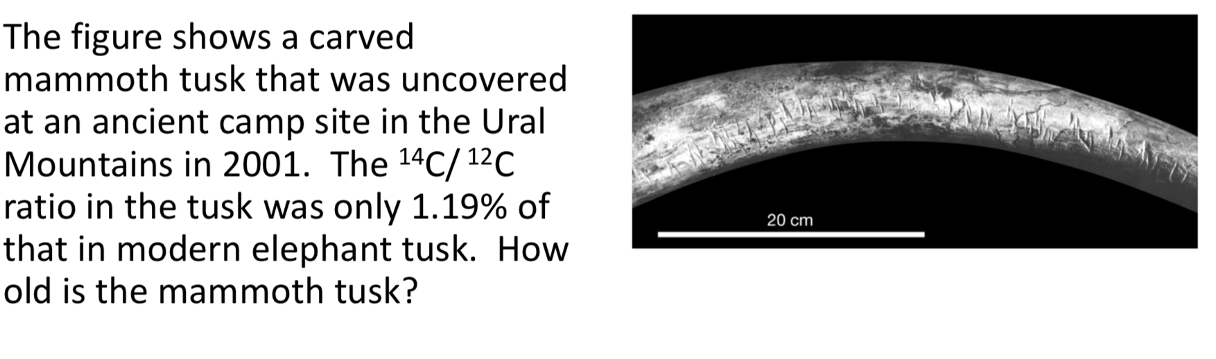 The figure shows a carved mammoth tusk that was