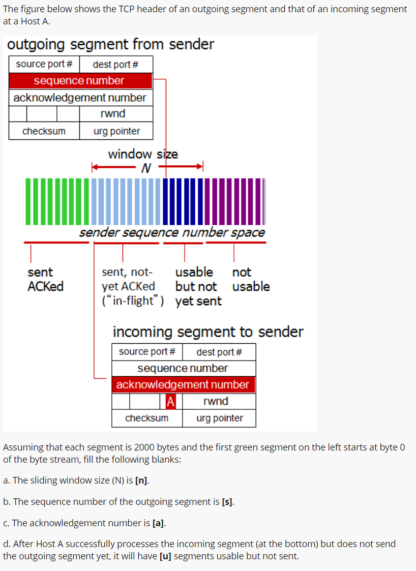 Solved The figure below shows the TCP header of an outgoing | Chegg.com