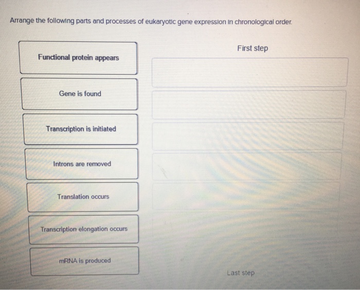 Solved Arrange the following parts and processes of | Chegg.com