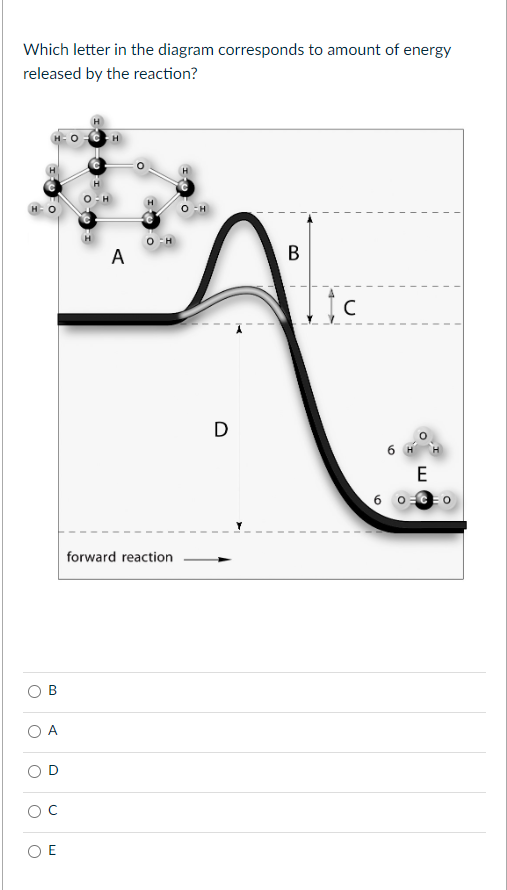 Solved Which letter in the diagram corresponds to amount of | Chegg.com