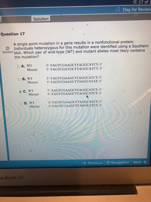 Solved 17 of1 Elag for Review Solution Question 17 A single | Chegg.com