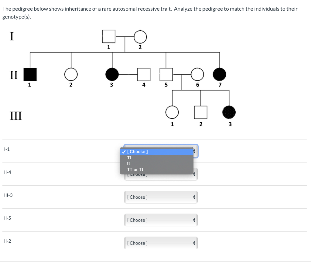 Solved The pedigree below shows inheritance of a rare | Chegg.com