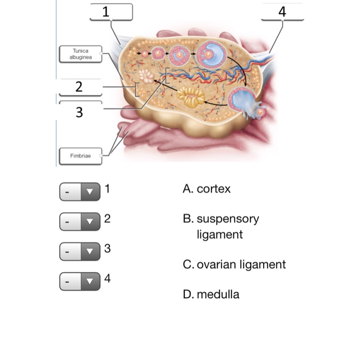 Biology Archive December 02, 2017