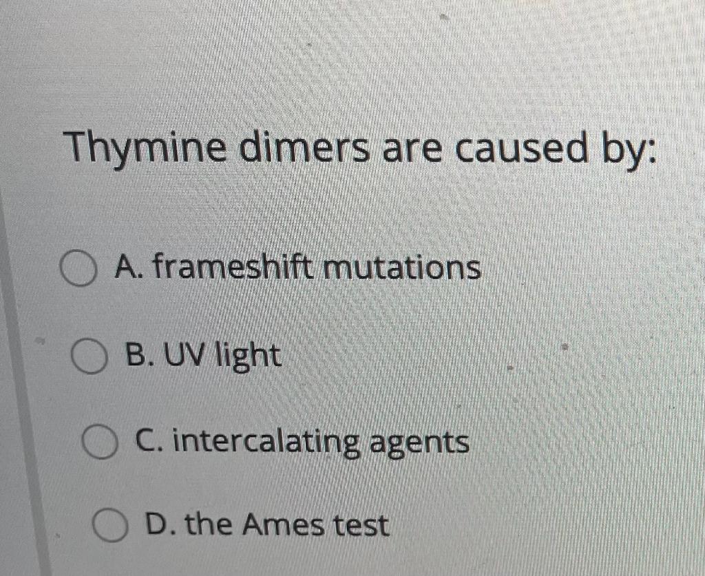 Solved Thymine dimers are caused by A. frameshift mutations