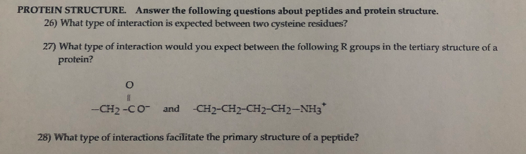 Solved PROTEIN STRUCTURE. Answer the following questions | Chegg.com