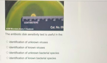 Solved the antibiotic desk sensitivity test is useful in the | Chegg.com