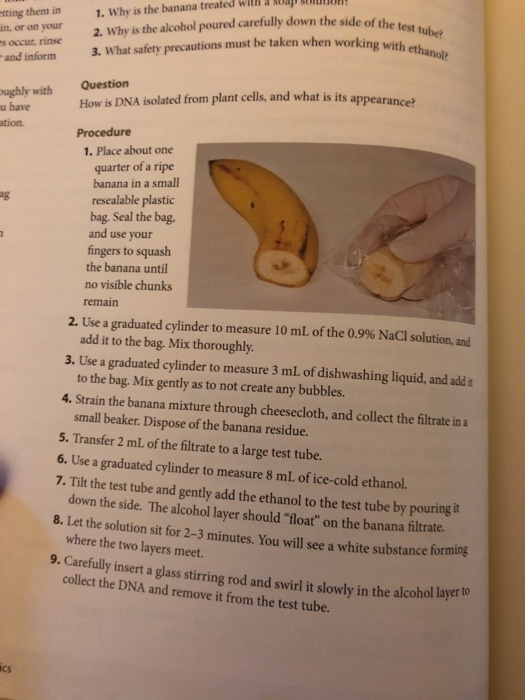 Solved Describe what happens at each step and why it acts to