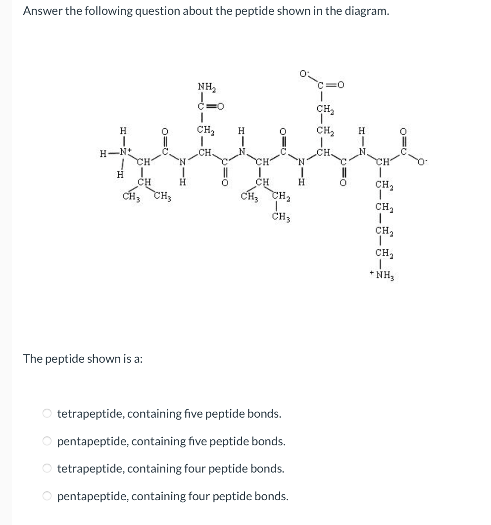 Solved Answer the following question about the peptide shown | Chegg.com