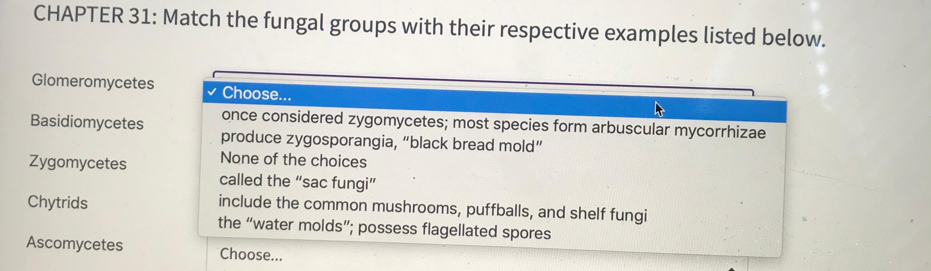 Solved CHAPTER 31: Match the fungal groups with their | Chegg.com