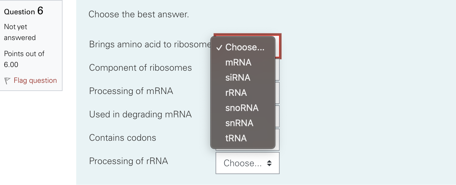 Solved Choose the best answer. Brings amino acid to ribosome | Chegg.com