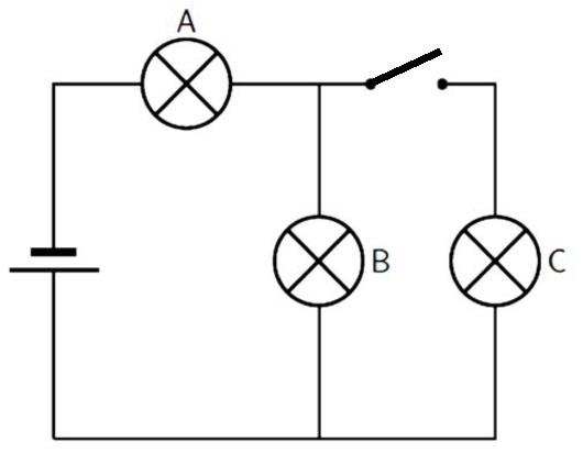 Solved Isn’t the internet amazing? Here’s a drawing from a | Chegg.com