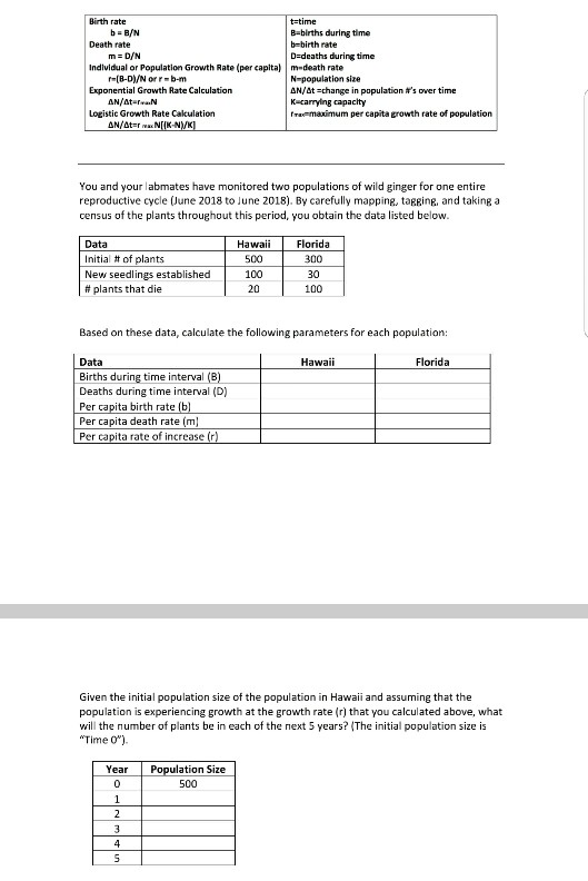 how-to-calculate-birth-rate