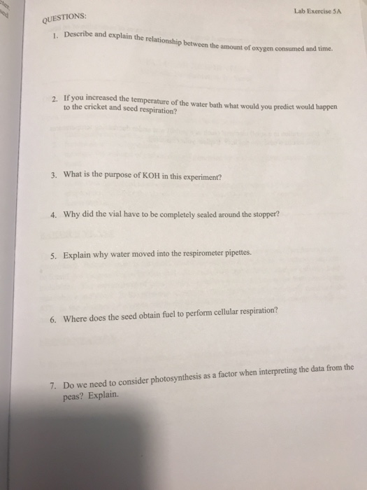 Solved Lab Exercise 5A QUESTION:s Describe and explain the | Chegg.com