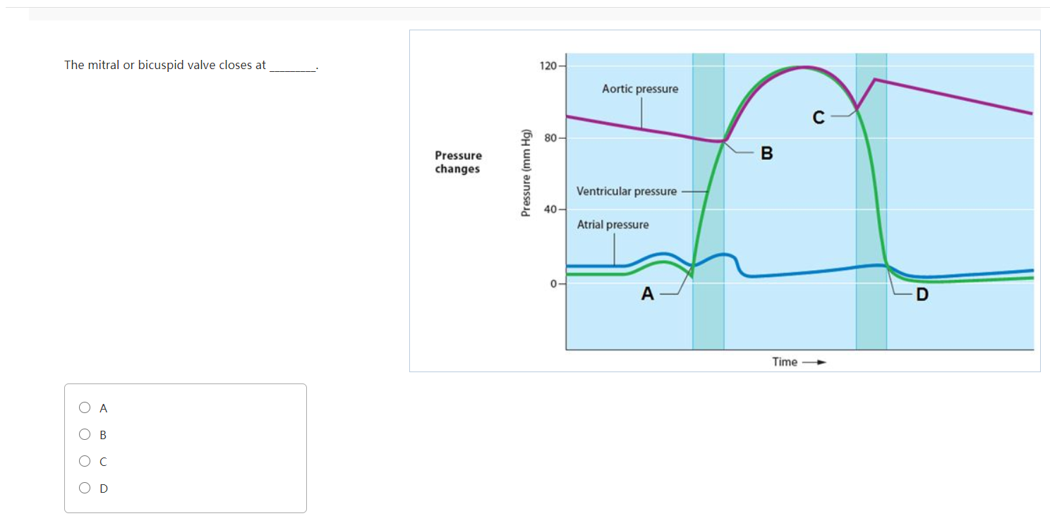 Solved The mitral or bicuspid valve closes at 120 Aortic