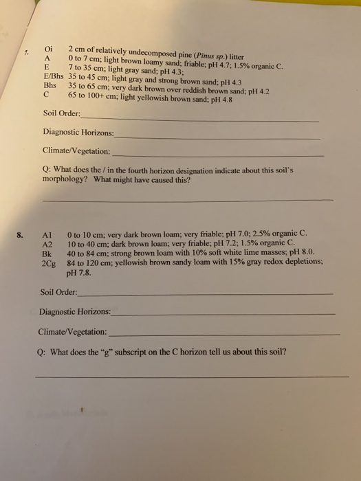 7 Oi Oi 2 Cm Of Relatively Undecomposed Pine Pinus Chegg Com