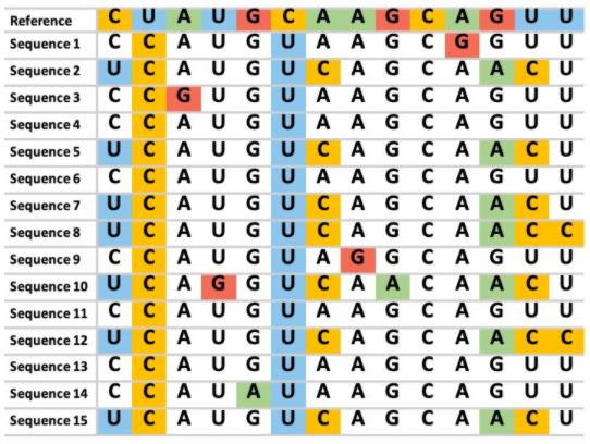 Reference CU AUGC AA G C A GU U Sequence 1 CC AUGUA A | Chegg.com
