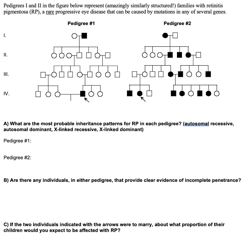 Solved Pedigrees I and II in the figure below represent | Chegg.com