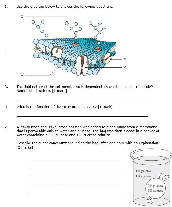 Solved 1. Use the diagram below to answer the following | Chegg.com